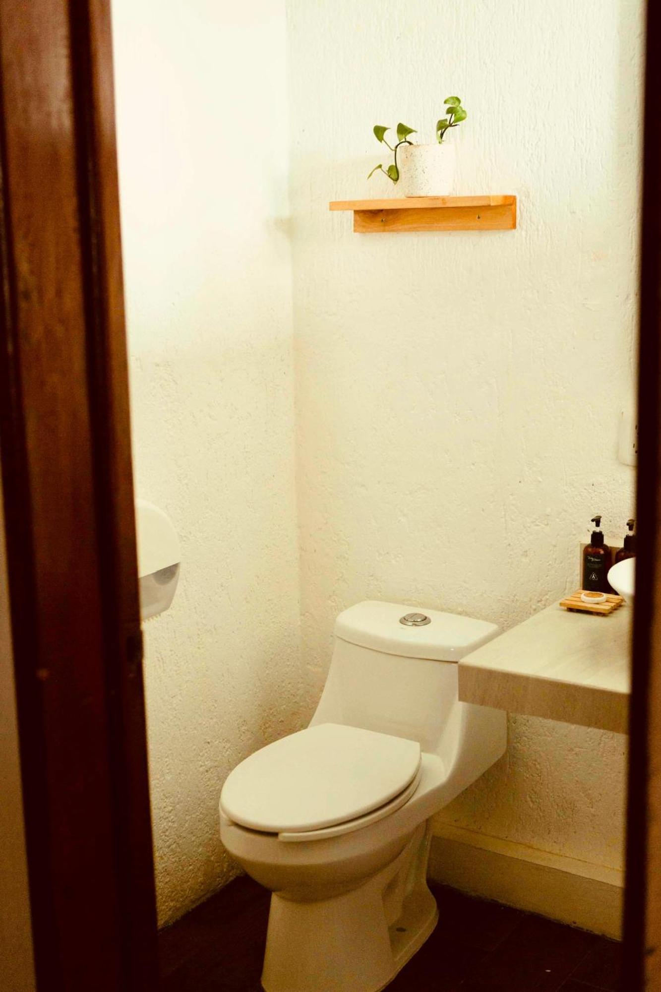 Mezcal Hotel 4*