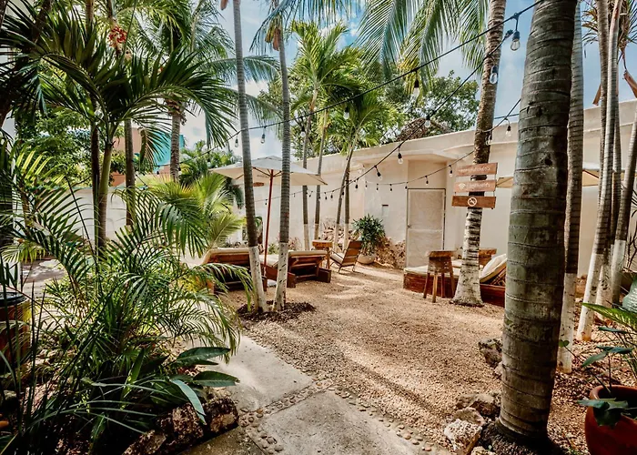 Mezcal Hotel